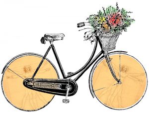 Le vélo de Vitruve