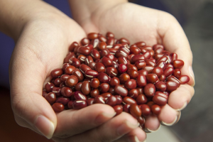 Deux mains qui tiennent en creux des haricots secs rouges